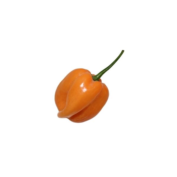 HABANERO
