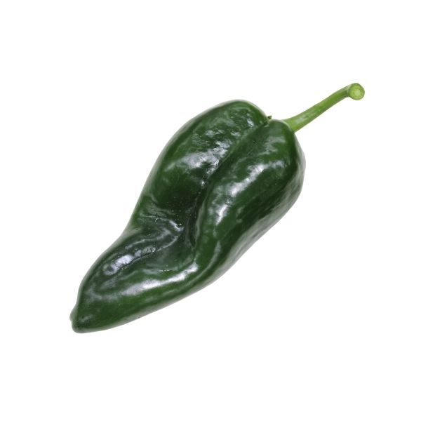 POBLANO