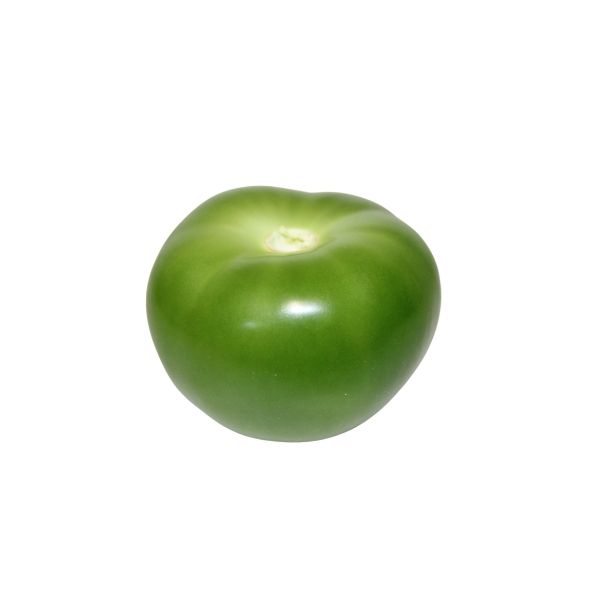 TOMATILLO